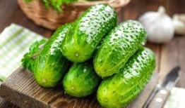 吃腌制的瓜会致癌吗视频,腌制瓜果致癌真相，食用需谨慎