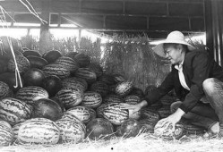 吕梁吃瓜群众事件视频,一场网络舆论的风暴与反思