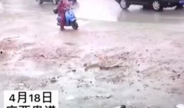 在车上吃瓜的视频