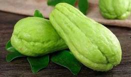 梨瓜可以当蔬菜吃吗视频,探索美味与营养的双重享受