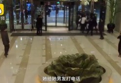 石家庄吃瓜事件视频,一场网络热议的幕后真相揭秘