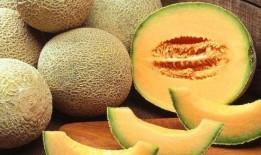 河南人吃哈密瓜视频,味蕾之旅开启！