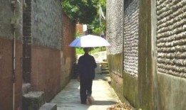 迎新凉亭吃瓜事件视频完整版,揭秘视频完整版背后的真相与争议