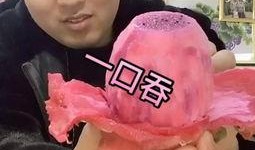 呆瓜吃赖天鹅视频,一场爆笑的美食对决