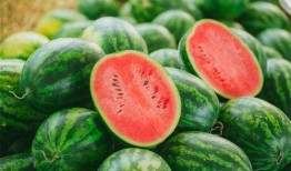 臭蛋吃瓜视频,揭秘网络热点的背后真相