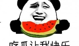 吃瓜群众挨了一刀视频,视频记录惊险瞬间