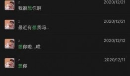 姐姐聊天妹妹吃瓜视频,揭秘网络聊天背后的趣味生活