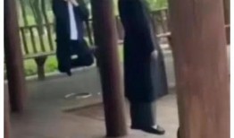 迎新凉亭吃瓜事件视频完整版,揭秘视频完整版背后的真相与争议