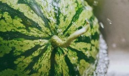 东北人吃瓜花视频,揭秘吃瓜花的独特魅力