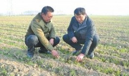 农田吃瓜写真视频,农田吃瓜写真视频中的田园诗意