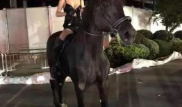 詹娜骑马吃瓜视频大全播放,趣味横生的马背时光