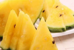 一中吃瓜视频,校园风云再起，真相令人咋舌