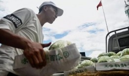 抢吃瓜的群众视频,抢吃瓜群众的热闹瞬间