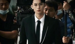 八卦吃瓜王鹤棣视频完整版,揭秘视频完整版幕后故事