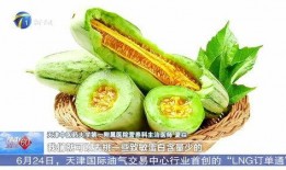 吃蜜瓜舞蹈讲解教案视频,跟随节奏舞动甜蜜夏日