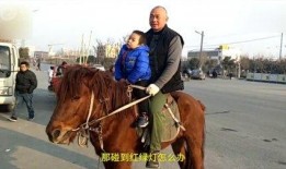 詹娜骑马吃瓜视频大全播放,趣味横生的马背时光