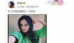 八卦吃瓜采访视频大全下载,揭秘娱乐圈幕后故事