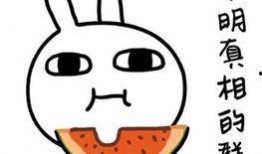 四大吃瓜笑话视频,笑料横飞，揭秘娱乐圈幕后趣闻