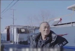 王宝强吃瓜事件视频播放,视频播放背后的热议与真相