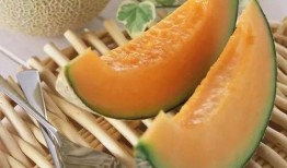 小五吃哈密瓜最新视频,甜蜜哈密瓜之旅，解锁夏日美味新体验