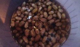 吃瓜吃花生米视频