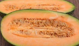 河南人吃哈密瓜视频,味蕾之旅开启！