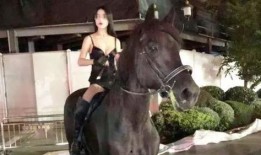 詹娜骑马吃瓜视频大全播放,趣味横生的马背时光