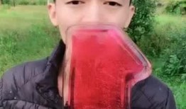 呆瓜吃赖天鹅视频,一场爆笑的美食对决