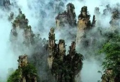 张家界吃瓜视频哪里看的,热门景点背后的趣味瞬间