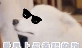 麻瓜碎怎么吃才好吃呢视频,视频教你轻松享美食
