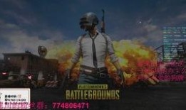 瓜妹儿吃鸡视频