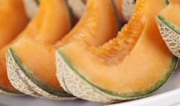 小五吃哈密瓜最新视频,甜蜜哈密瓜之旅，解锁夏日美味新体验