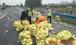 许昌吃瓜新闻视频大全,盘点那些引人关注的视频瞬间