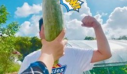 七夕网红吃瓜视频,甜蜜背后隐藏的瓜界风云