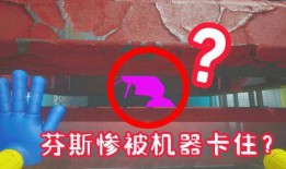 评论区吃瓜视频怎么找到,评论区内容如何转化为精彩副标题